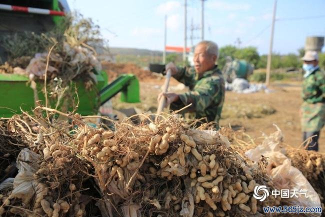 宇宙食粮日：金秋时节喜丰充 不负好“食”光