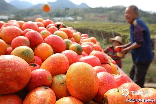 宇宙食粮日：金秋时节喜丰充 不负好“食”光