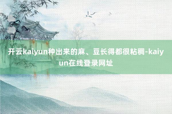 开云kaiyun种出来的麻、豆长得都很粘稠-kaiyun在线登录网址