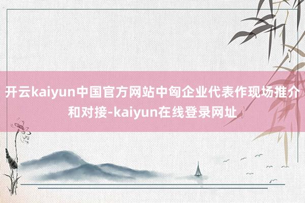 开云kaiyun中国官方网站中匈企业代表作现场推介和对接-kaiyun在线登录网址